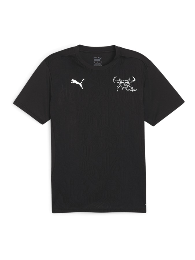 PUMA teamFINAL Trainingsshirt