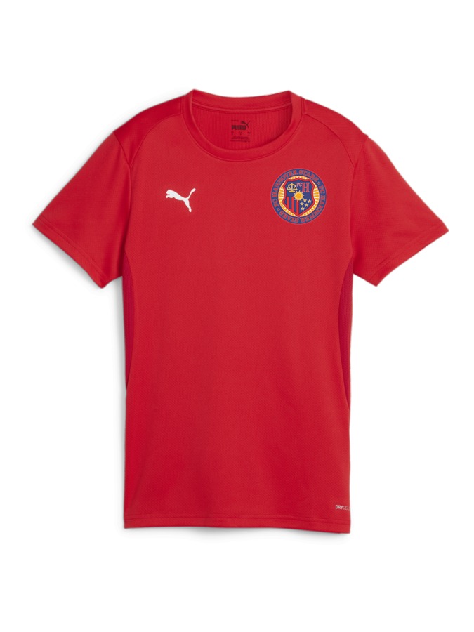 PUMA teamGOAL Trikot Damen