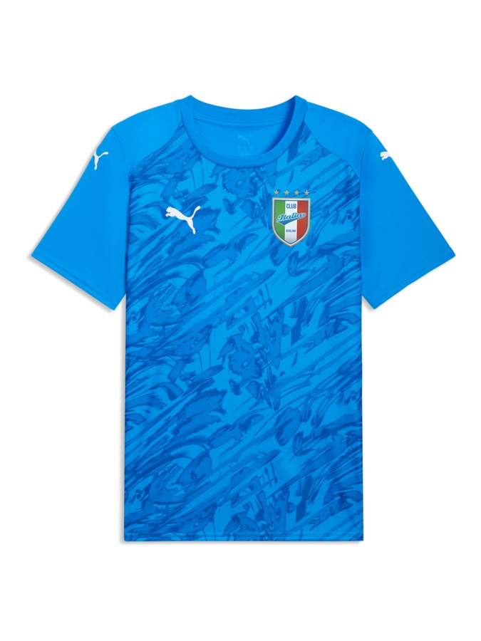 PUMA teamFINAL Graphic Trikot