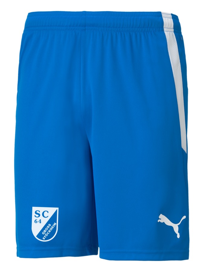 PUMA teamLIGA Shorts