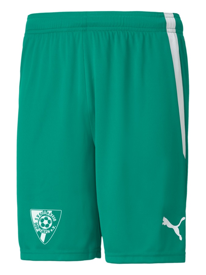 PUMA teamLIGA Shorts