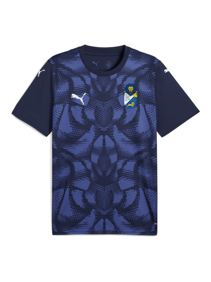 PUMA teamULTIMATE Trikot