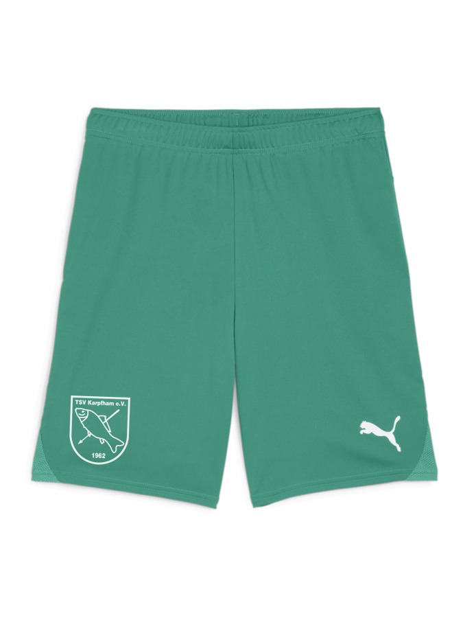 PUMA teamGOAL Shorts