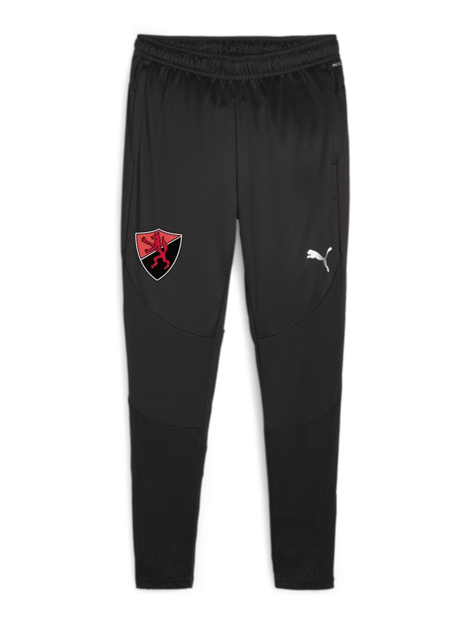 PUMA teamFINAL Trainingshose