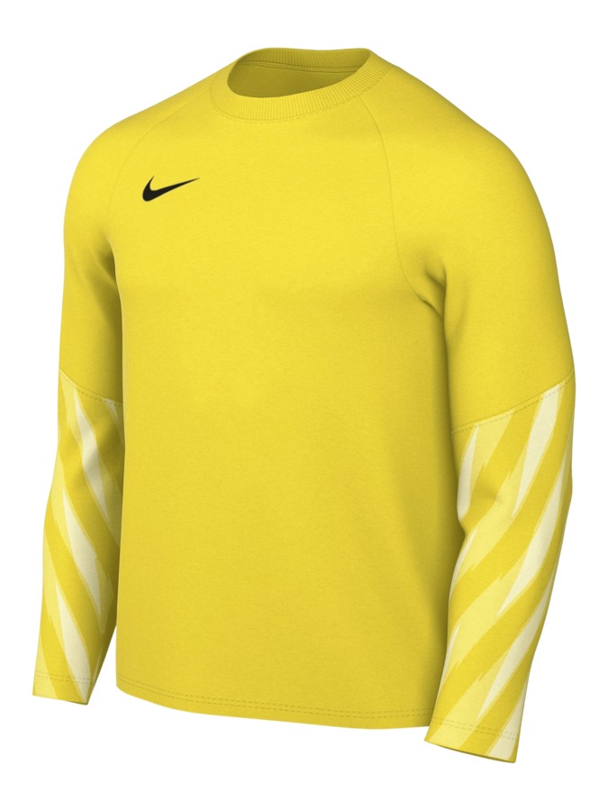 Nike Dri-FIT Park V Torwart Trikot Langarm Damen