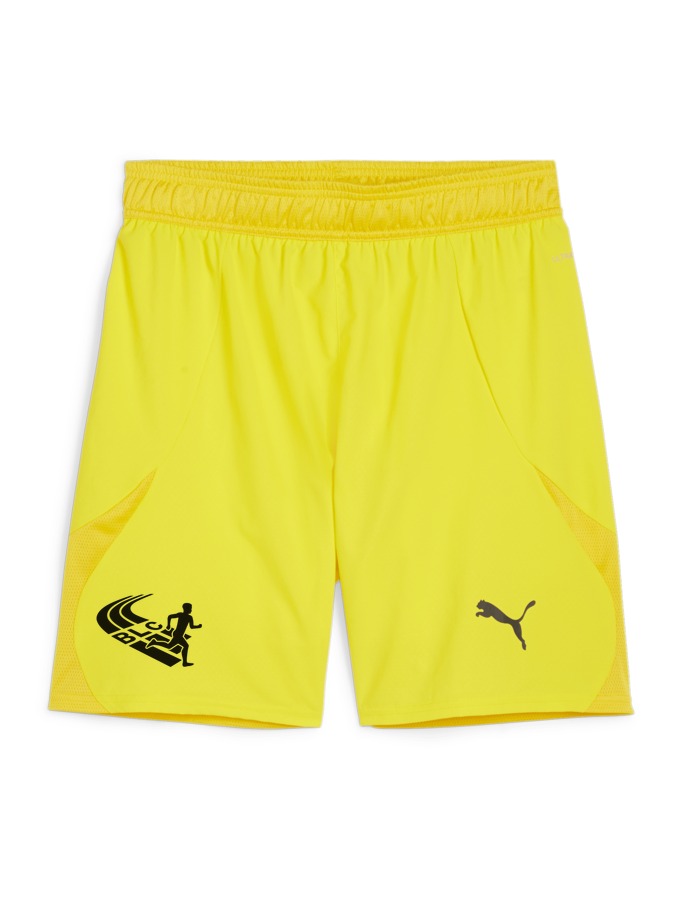 PUMA teamFINAL Shorts