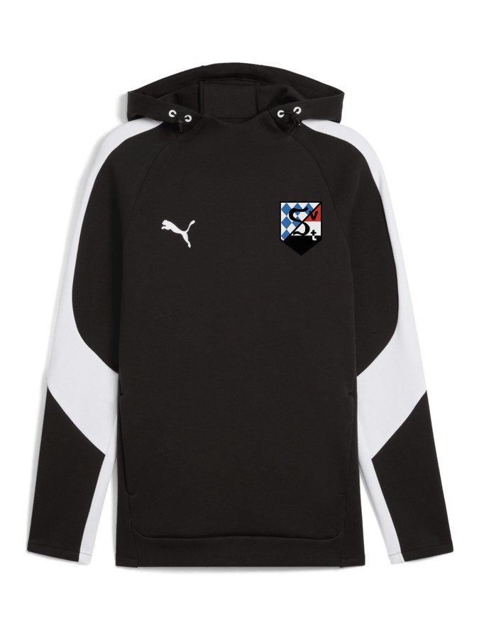 PUMA teamEVOSTRIPE Hoody