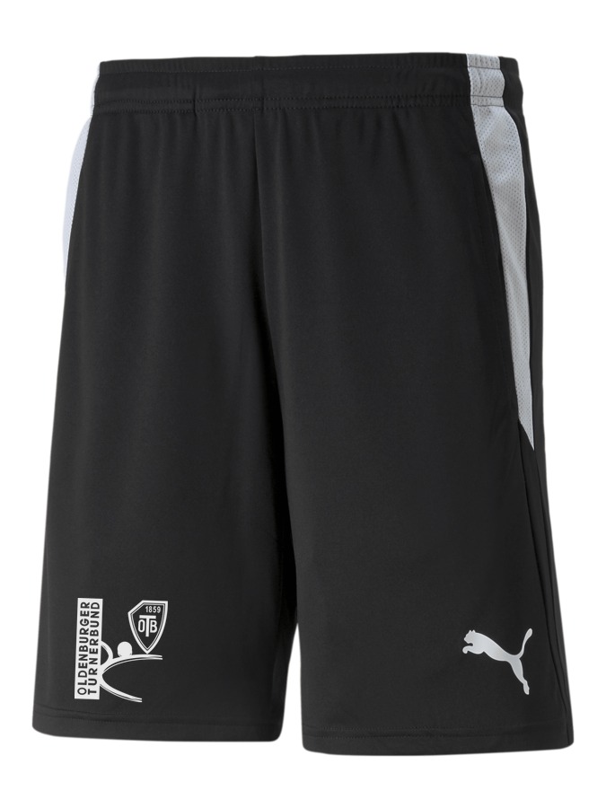 PUMA teamLIGA Referee Shorts