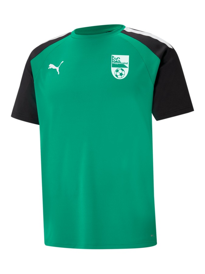 PUMA teamPACER Trikot