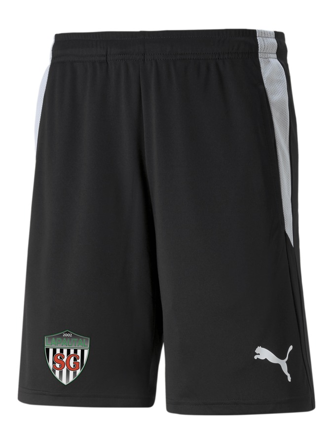 PUMA teamLIGA Referee Shorts