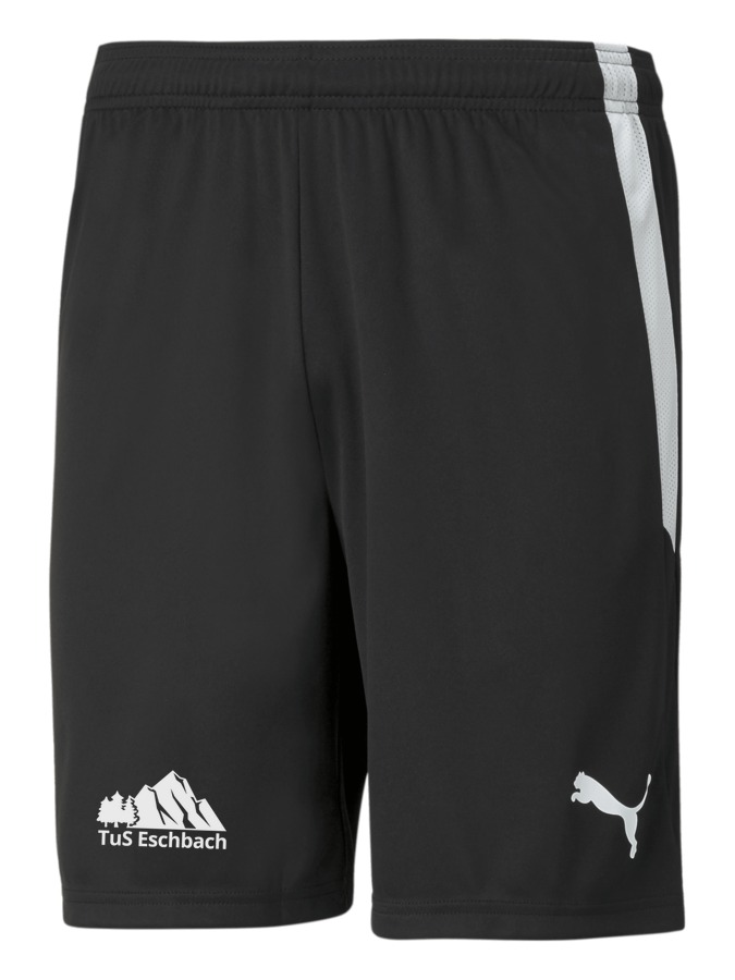 PUMA teamLIGA Shorts