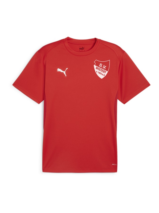 PUMA teamGOAL Trikot