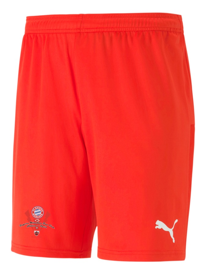 PUMA teamGOAL 23 Knit Shorts
