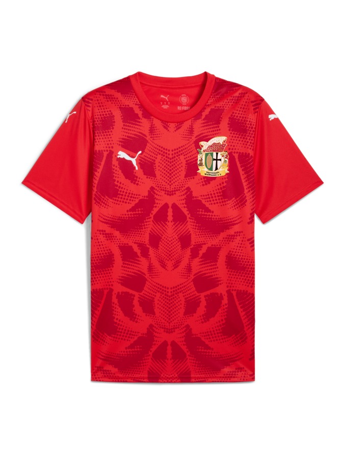 PUMA teamULTIMATE Trikot