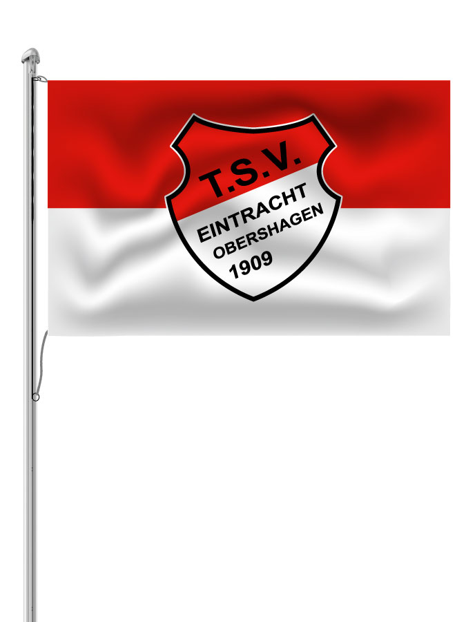 Hissfahne Logo