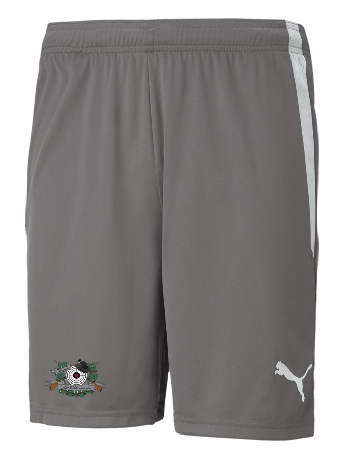 PUMA teamLIGA Shorts