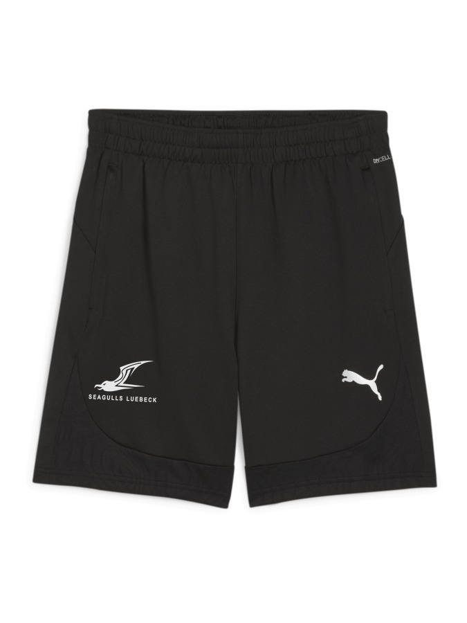 PUMA teamFINAL Training Shorts