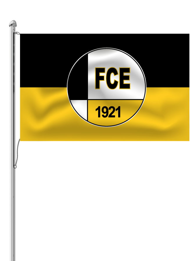Hissfahne Logo