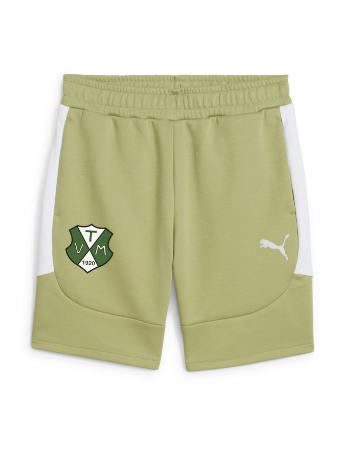 PUMA teamEVOSTRIPE Shorts