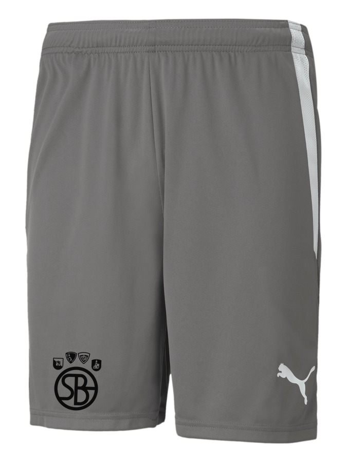 PUMA teamLIGA Shorts