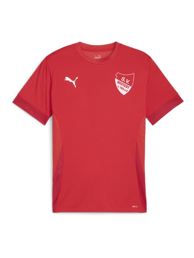 PUMA teamGOAL Matchday Trikot