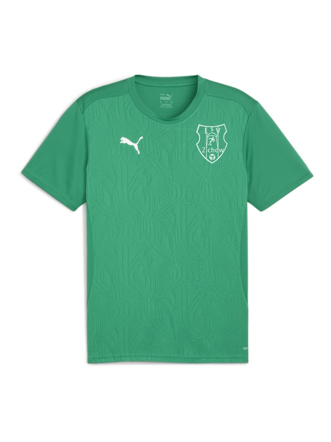 PUMA teamFINAL Trainingsshirt