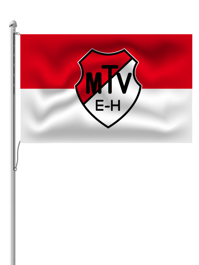Hissfahne Logo