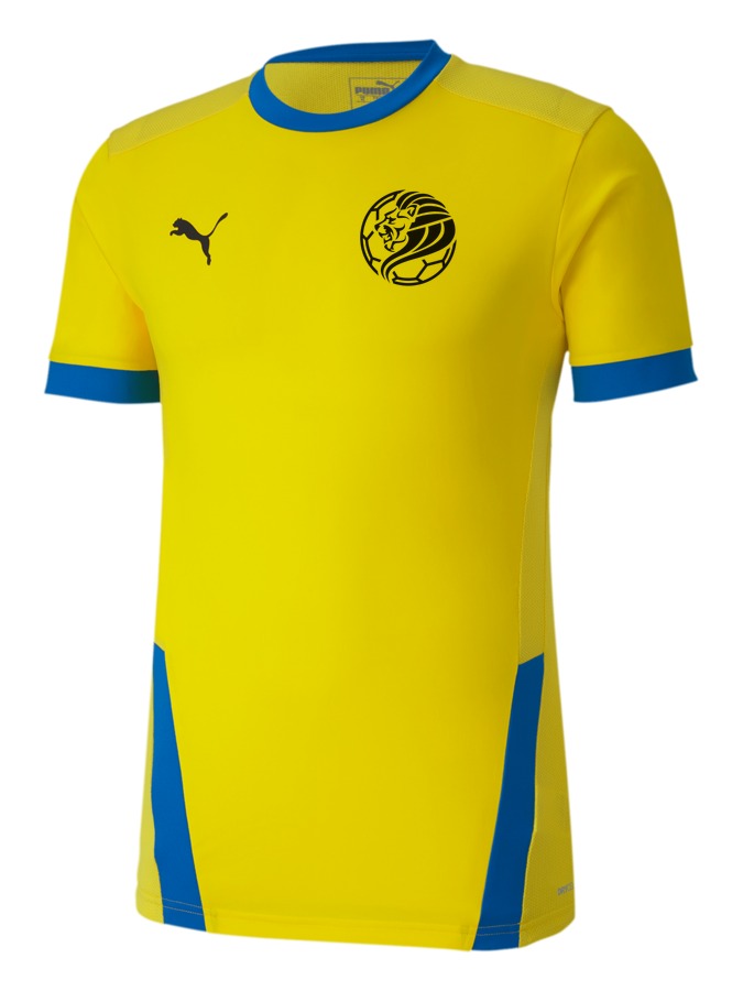 PUMA teamGOAL 23 Trikot