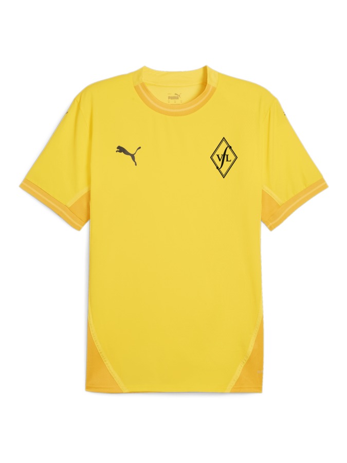 PUMA teamFINAL Trikot