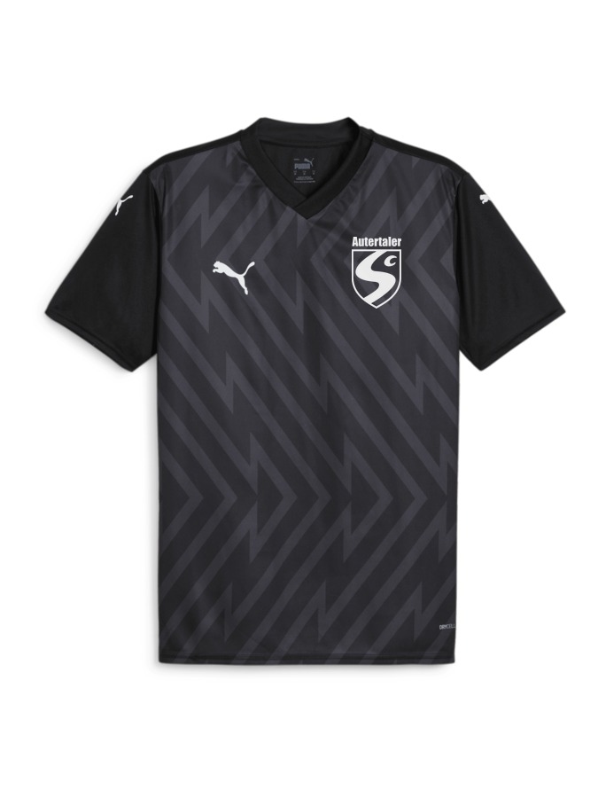 PUMA teamGLORY Trikot