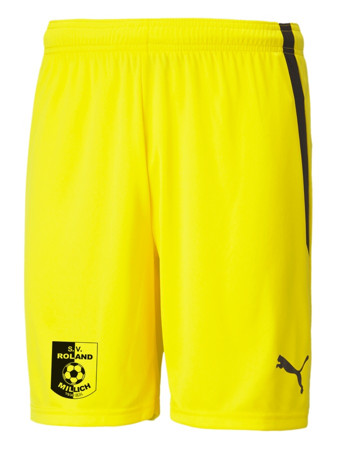 PUMA teamLIGA Shorts
