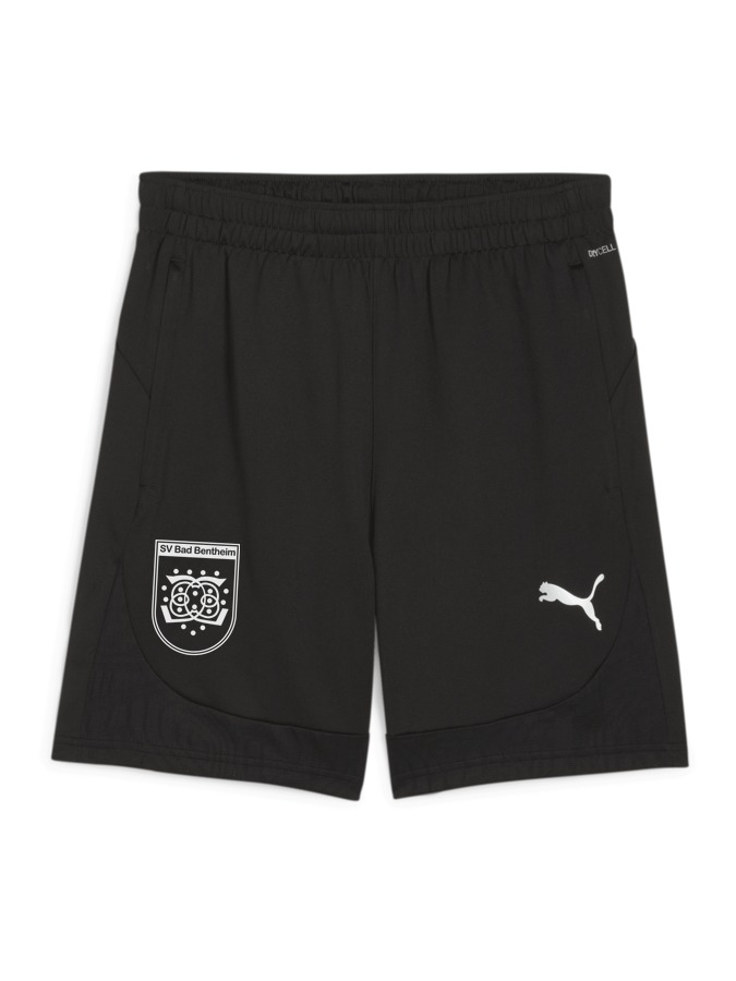 PUMA teamFINAL Training Shorts