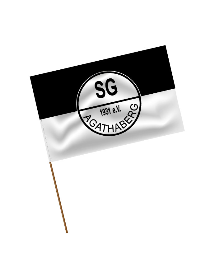 Stadionfahne Logo