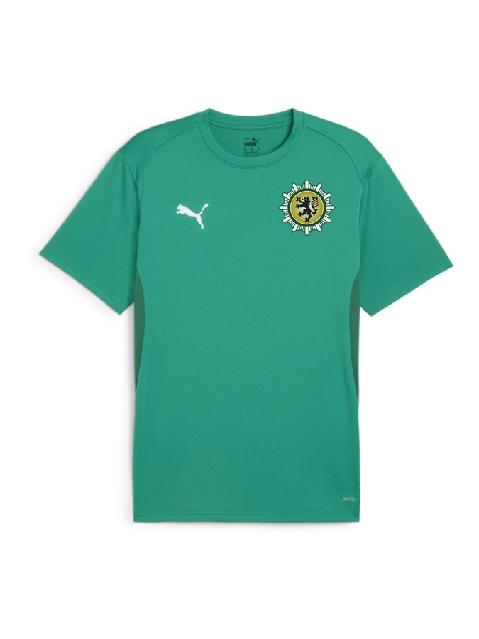 PUMA teamGOAL Trikot