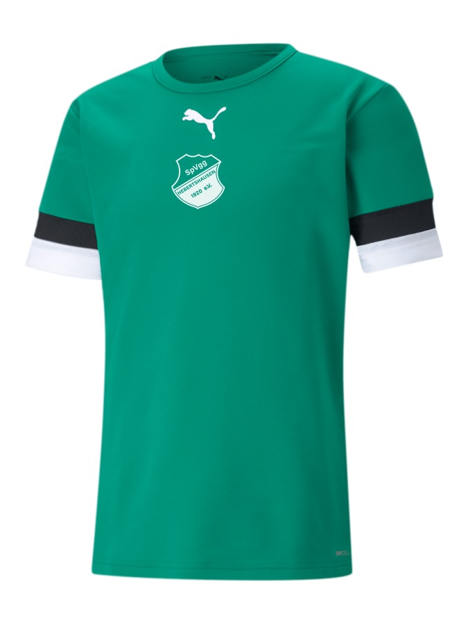 PUMA teamRISE Trikot