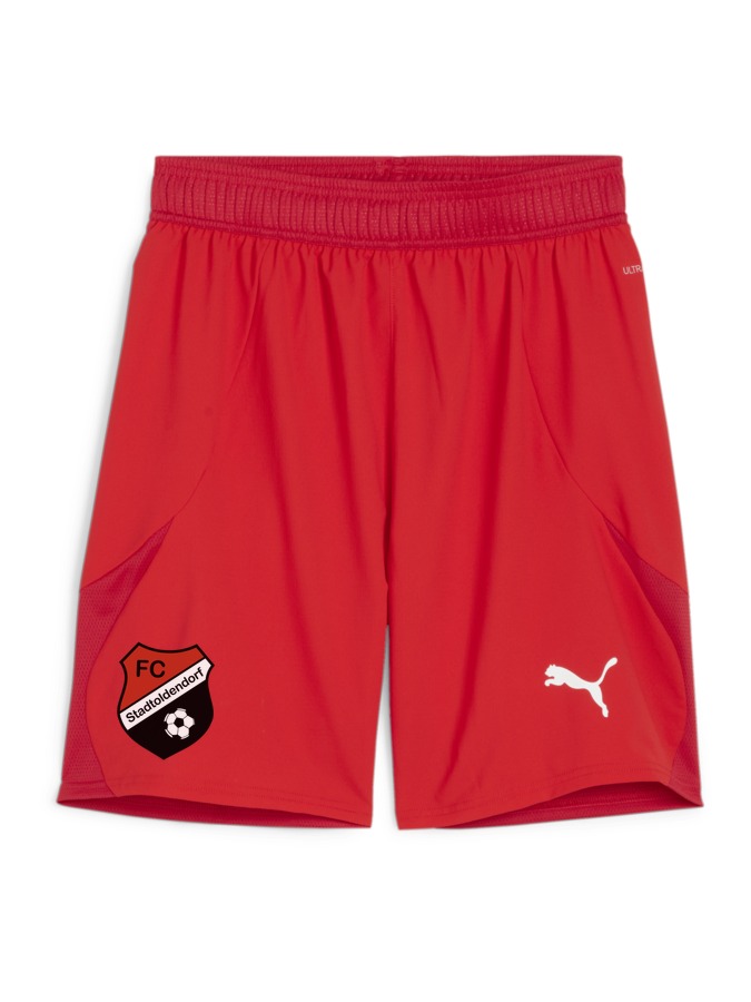 PUMA teamFINAL Shorts
