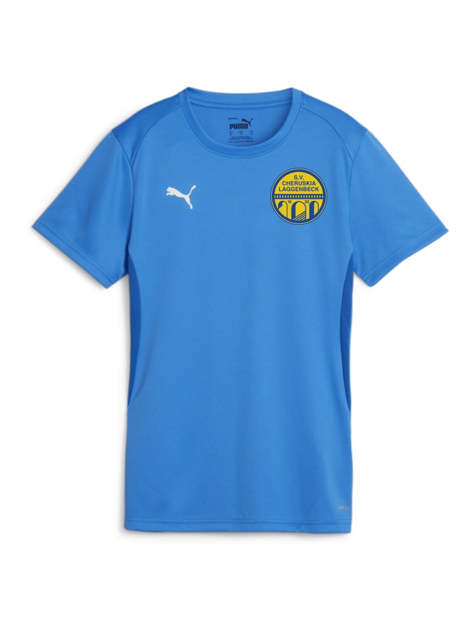PUMA teamGOAL Trikot Damen