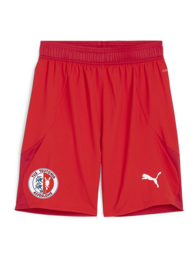 PUMA teamFINAL Shorts