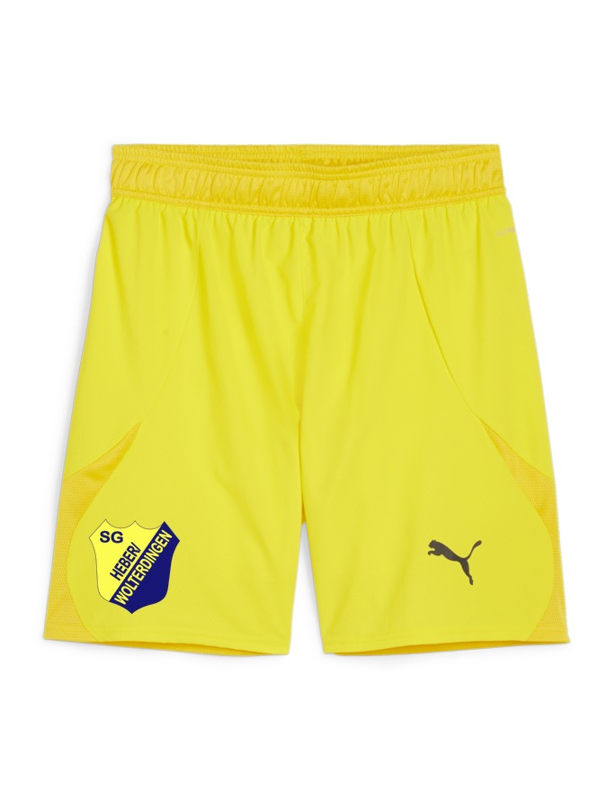 PUMA teamFINAL Shorts