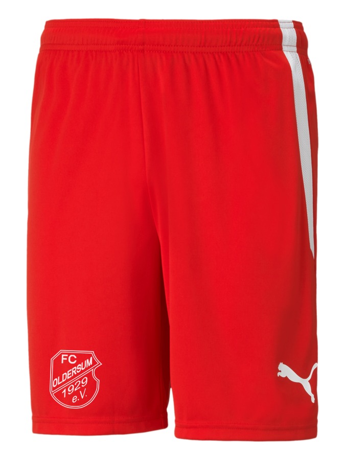 PUMA teamLIGA Shorts