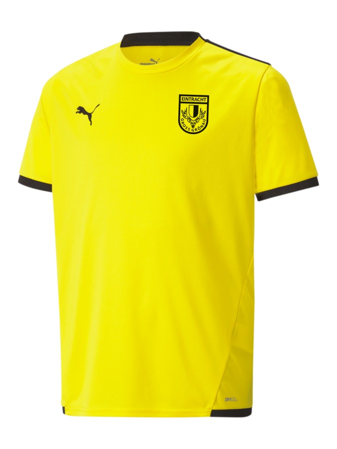 PUMA teamLIGA Trikot