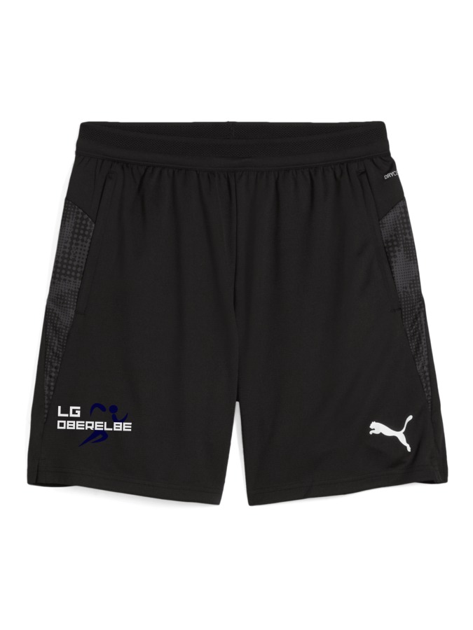 PUMA teamCUP Training Shorts