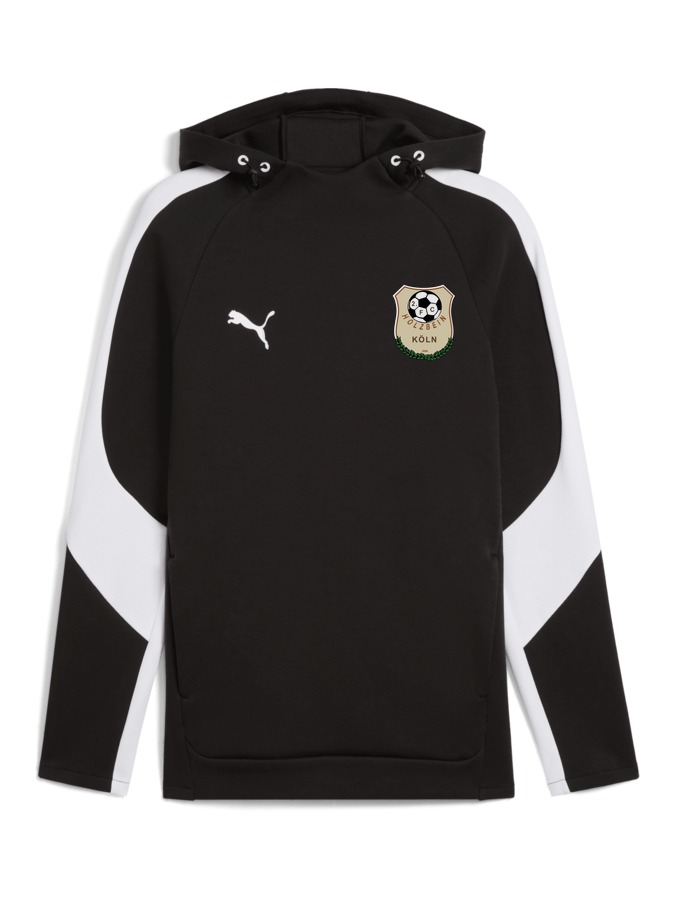 PUMA teamEVOSTRIPE Hoody