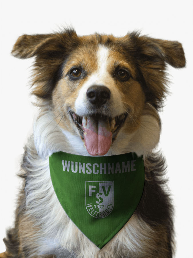 Hundehalstuch