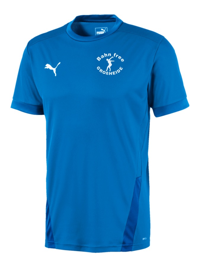 PUMA teamGOAL 23 Trikot