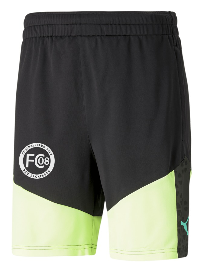 PUMA individualCUP Training Shorts