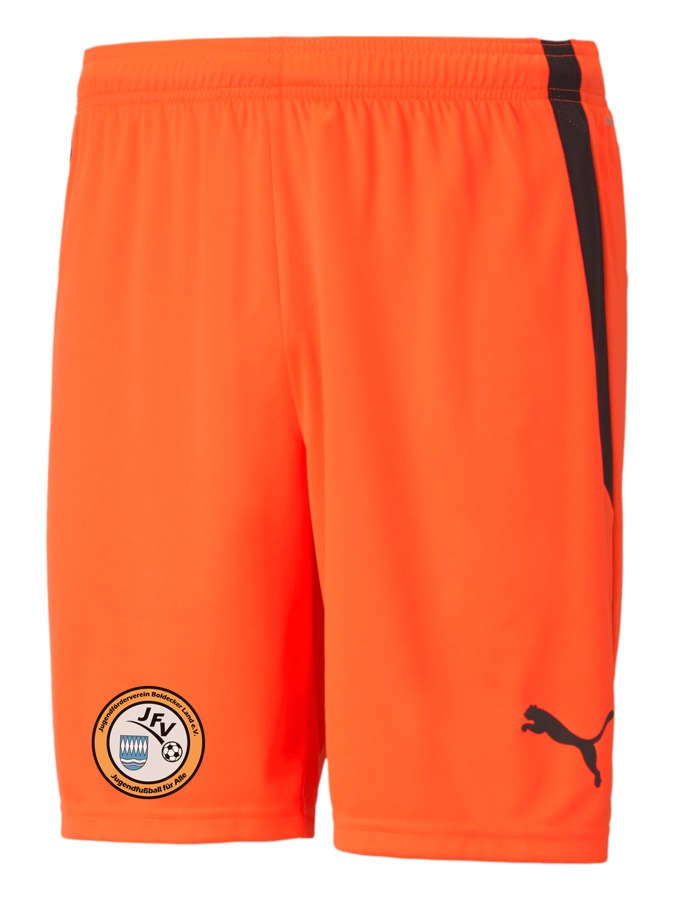 PUMA teamLIGA Shorts