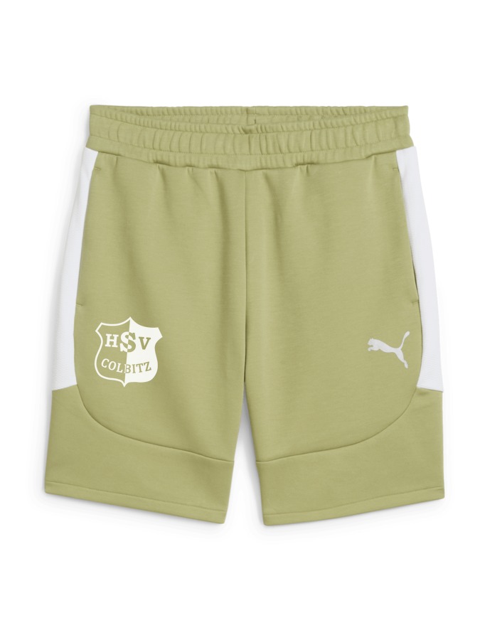PUMA teamEVOSTRIPE Shorts