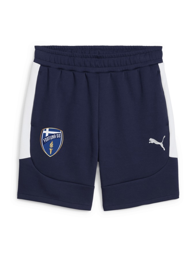 PUMA teamEVOSTRIPE Shorts