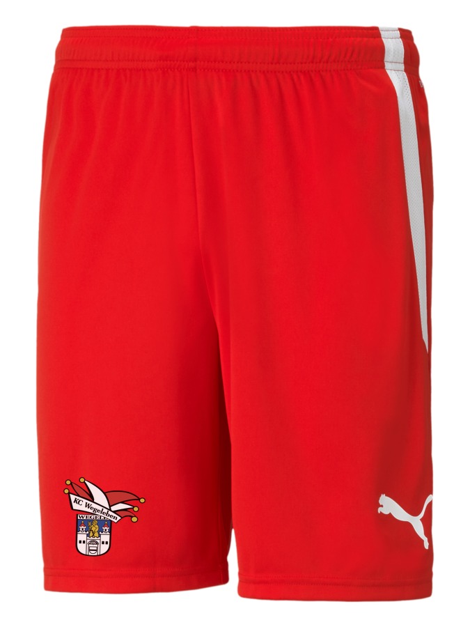 PUMA teamLIGA Shorts